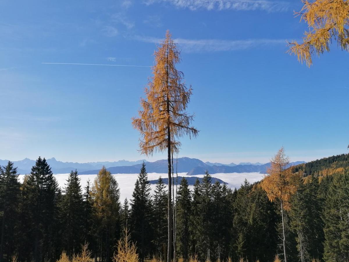 Gerlitzen Ferienappartement Paul Im Ski- Und Wandergebiet, Kanzelhoehe, Ossiacher See Deutschberg Eksteriør bilde